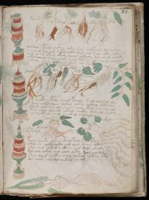 manuscrito159